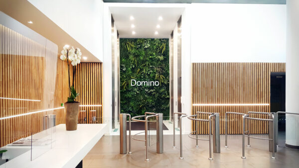 DOMINO PARIS