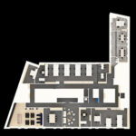 axo-friedland-1-last
